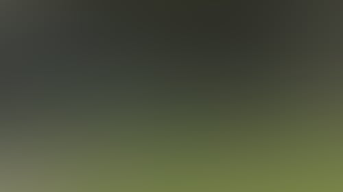 65Fd66C7589C5E6C7B631F456D4542A1