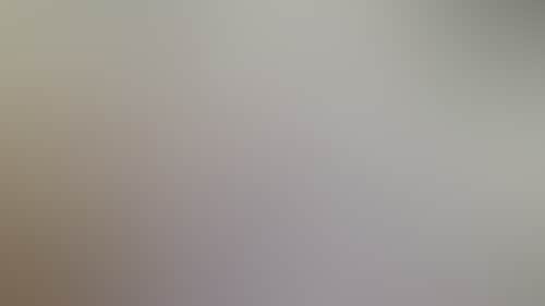 971Cf401D22271Fa7215Aeb462121A7D