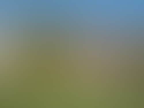 59Cde5Ecadc8855Fed7Bfd8088Bfd0B5