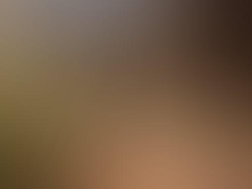 19Bc3051215555Ca0E6F1168A0723643