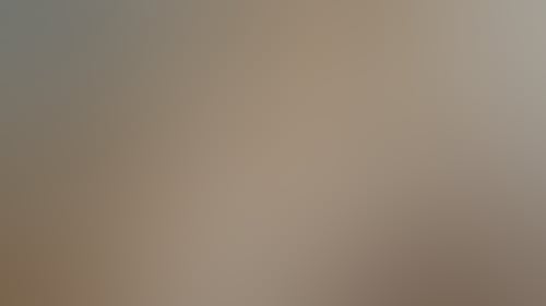 A85055Ece39A2E5F24D9F18Daf697E9C