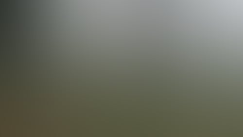 Original__9689302_Dk63_Dscf1156_Fznctf1