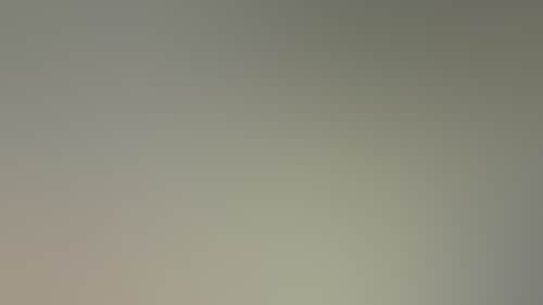 D96Ec4Ea562D10C32A13A4C57D9F1D2D