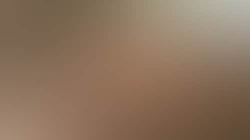 47D1036A89F9F3E4C17026A34346E257