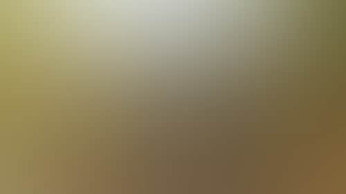 8C31A764084Acde10E7Eb9Fedace4185