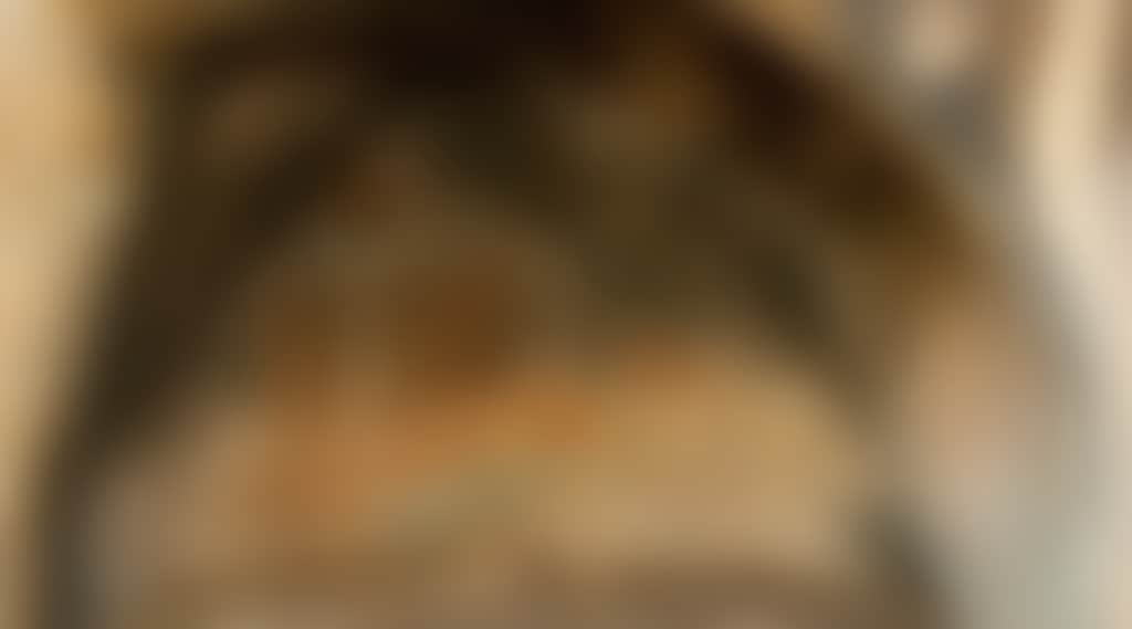 8566Dea6317C3Be128A228E62Dbd19E2
