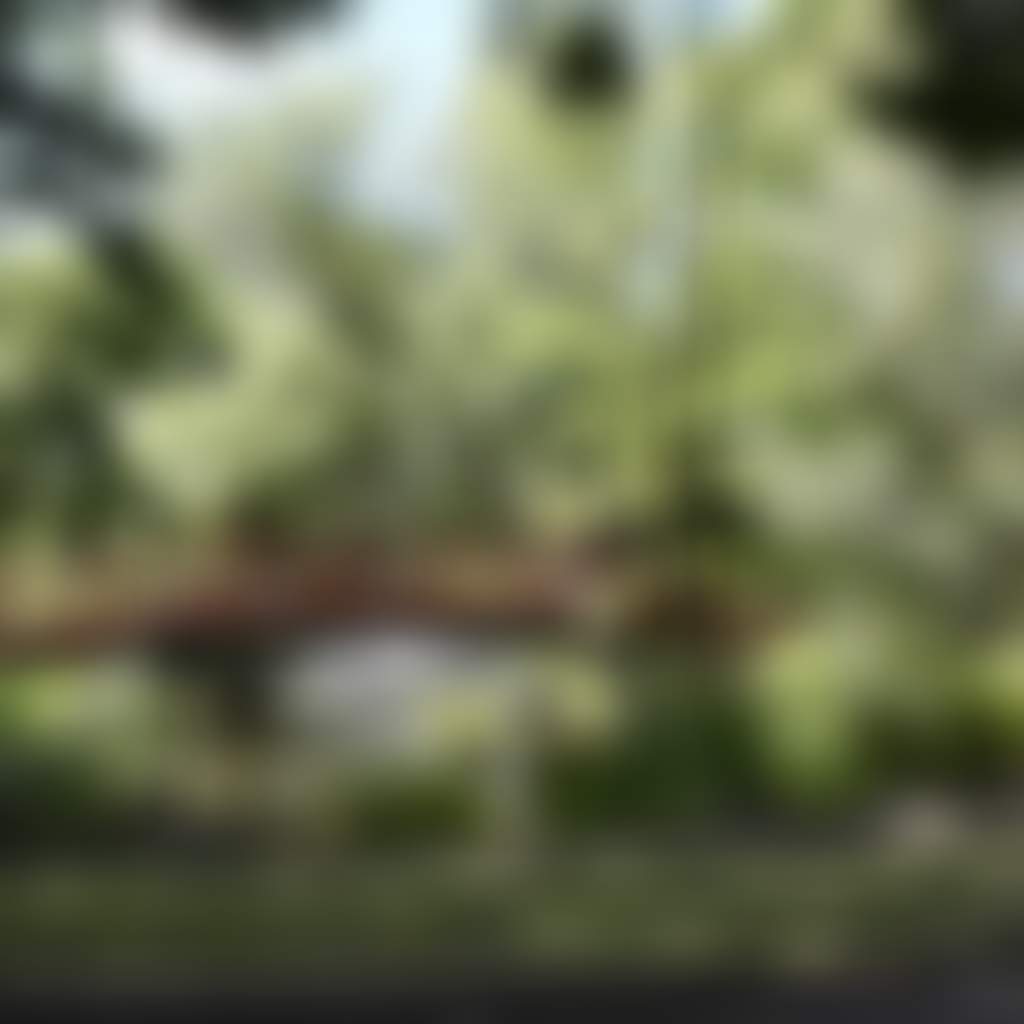 Ef9B80Ad488B625443Bee66218182B3A