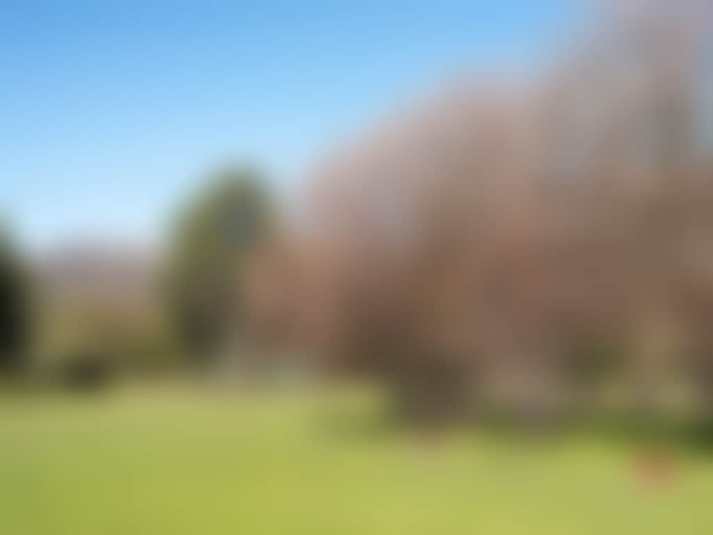 D07Ed51233A9Ecca598Caadfd4693C65
