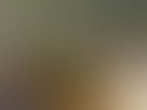 Db77B2Fe18F5A7888F479Ae296Ffce40