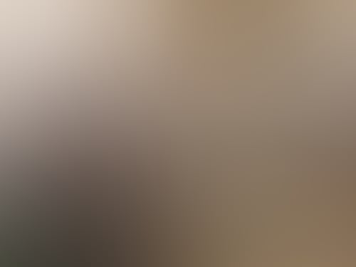 149571 56