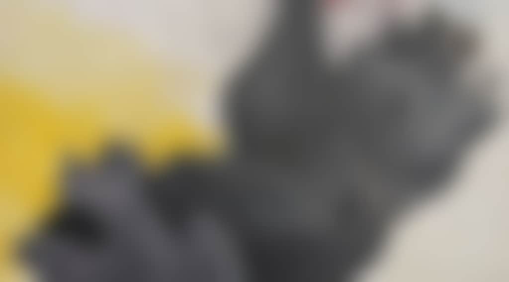 A15C5F42F01B49589330Af72D285337F