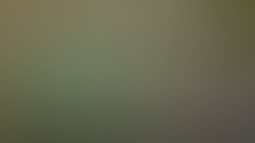 2C4929292A9F1Ddd1Ab0Cc40044Bf1E7