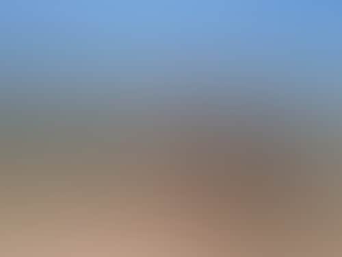 375054 363409437102920 1766811825 n