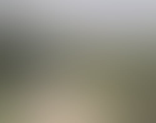 Intro