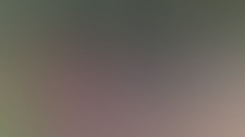65E5842D2Cce956650C3C64D1Fe2Fa5A