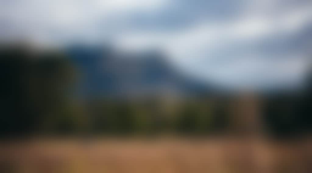 47F16078245Dcda99F4E1F4D3E61C1Ca