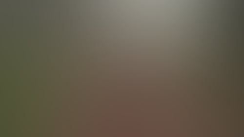 A1509E448Cf620043718C01Fe5Dd0087