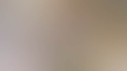 D6C0F77F1C2705A54Fe035Bfd38Fea8A