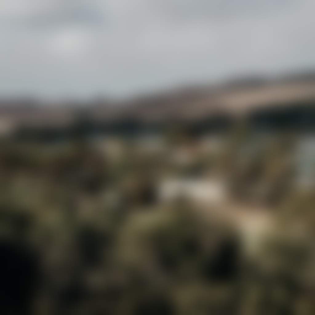 2C295891E793D08Aa36C0A475Cf9D2C5
