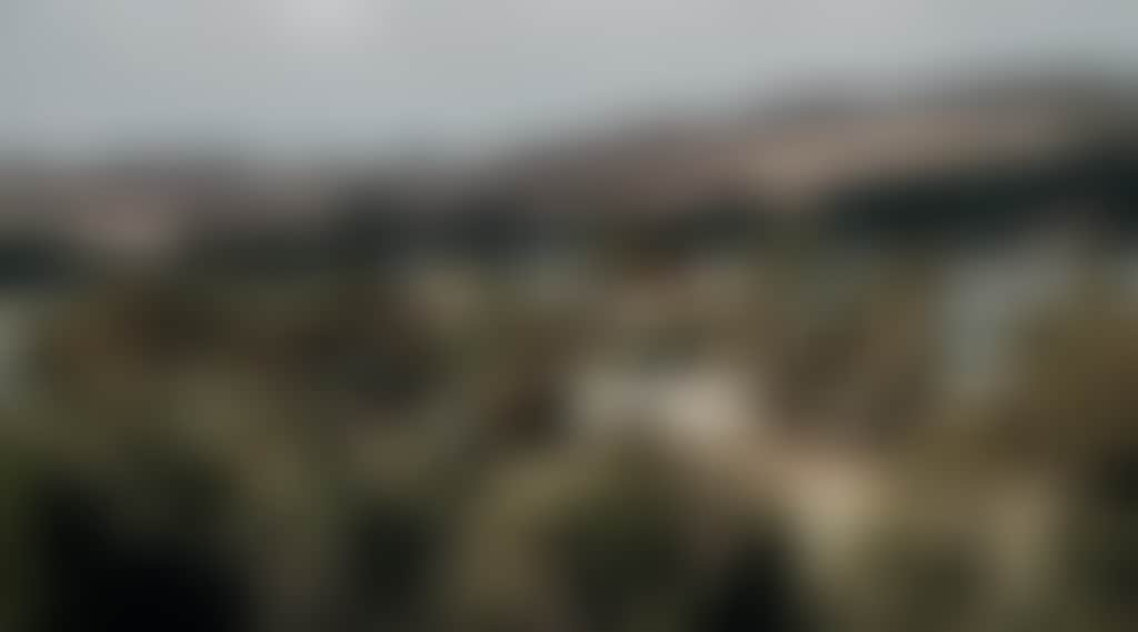 2C295891E793D08Aa36C0A475Cf9D2C5
