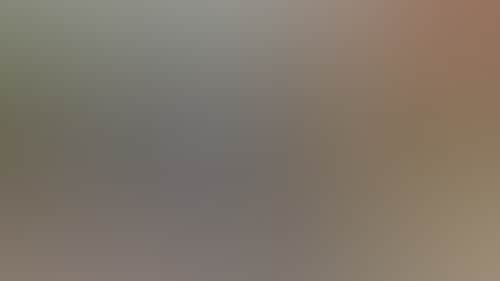 Original__9611172_Ao04_Wov4__Tsdogs_At_Gg_2013__Grampiansest_13_Fmvosyr