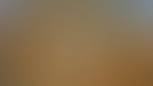 1748307B1Ad364A5Fccd2127C1649067_60Ce55D