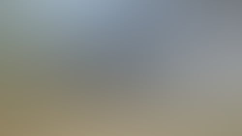 8F13Ece21E673D4423A3A0C60266C5A8