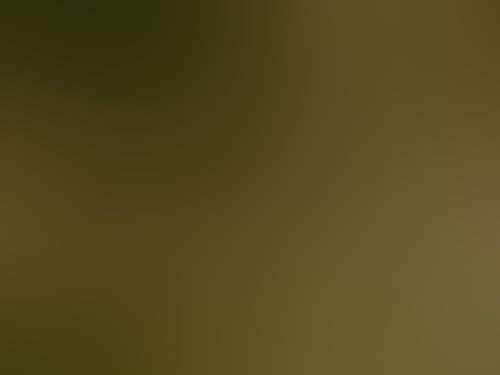 003 A6535