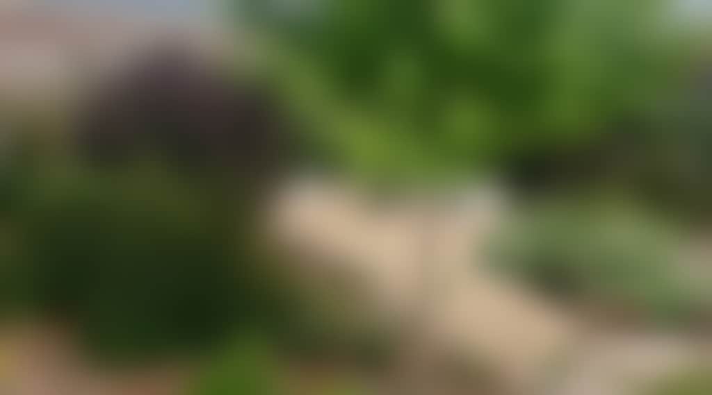 7D5Ab2Ef2Be387A0345F0800C7C6Bf99