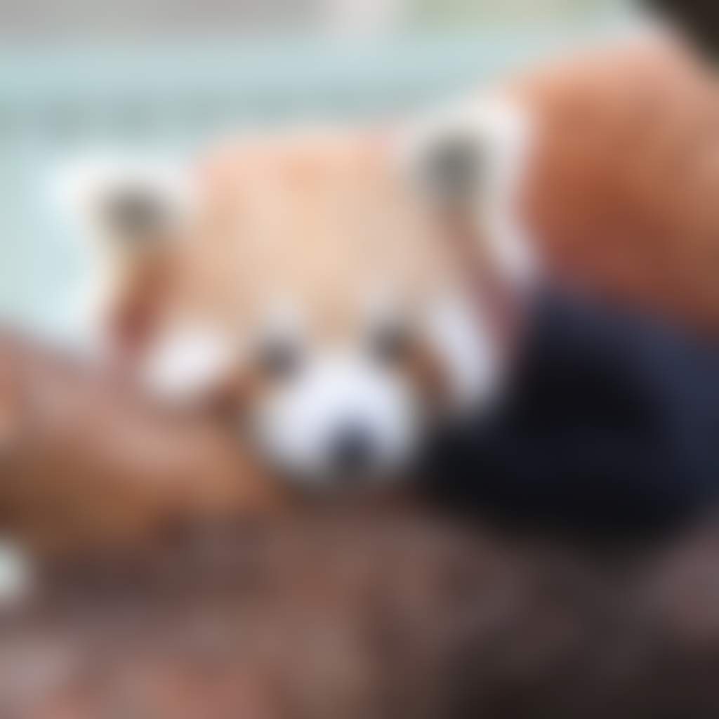 386C2989B1Ab32Ede4Ff220E90564E13
