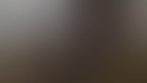 4Ecf456897F0862A9E3F21A9100D0B3A