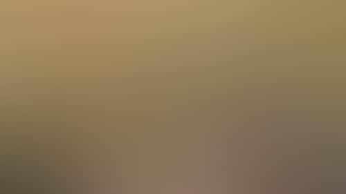 Fcd763Ebe156Bfdeeebd9189E89F3Fba