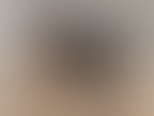 Grampiansaleworks 242117352 1686128278251078 8823911930829598512 n