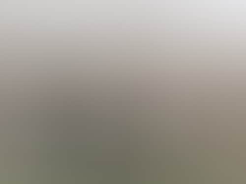 Emandaaron leileiclaveyphotography 96