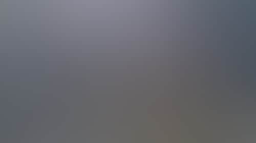 A9Fb2F2C6Efc9B11C0Fd803Eea85658D