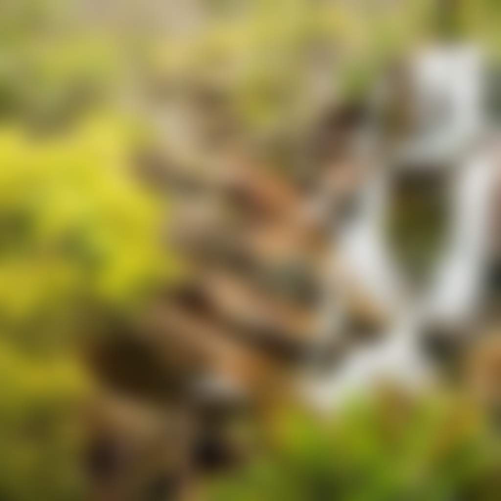 22069886 596654204058098 6011735543199563776 n1