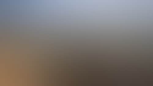 F0C04Ddeef5269Be4Cc7D6C63F8C204A