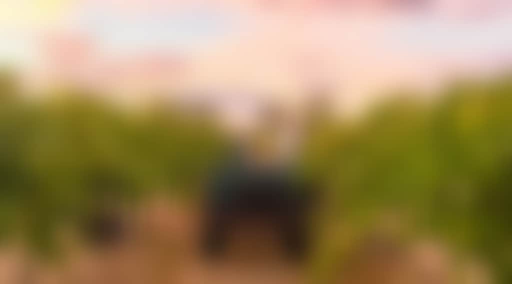 A7D92Dfde166Bb4Db58789935E43C2B2