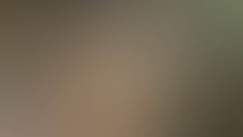 366E0B7Acc1Aed5219B112Cb75421618