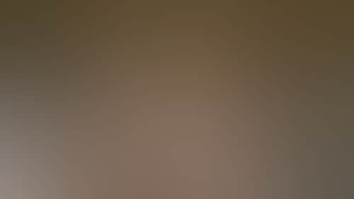 Defa22418581922C6832A6Fda6D6Ff19