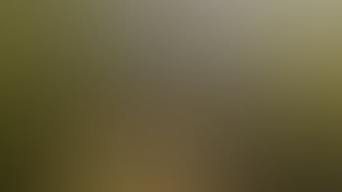 64C7E2322B7Db4B9125261349Bfc2E96