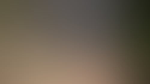 1F3Bfd09C546Deedc6E0E5B3047A6F46