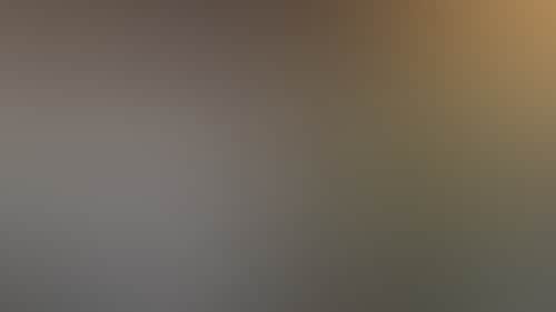 45056E5320686Aafdd314A42Cecea635