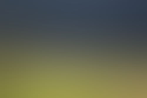 149516 56