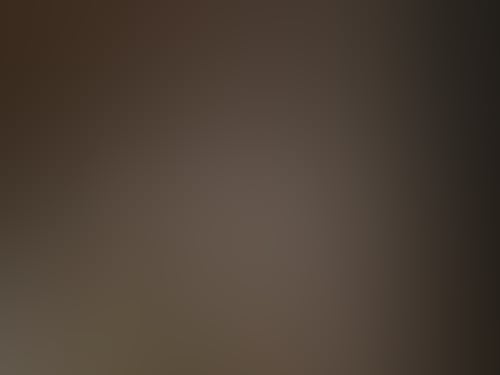 159865 56
