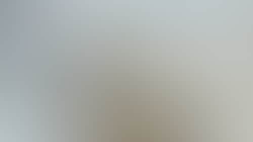 10Caf229310C4A1966Bd1Fad66D7F9Fc