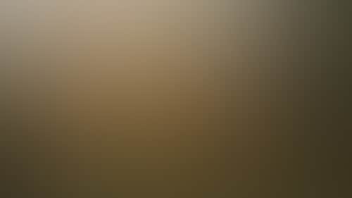 Original__9630820_Tvic_Dulc_Treehouse_Oih04Qp