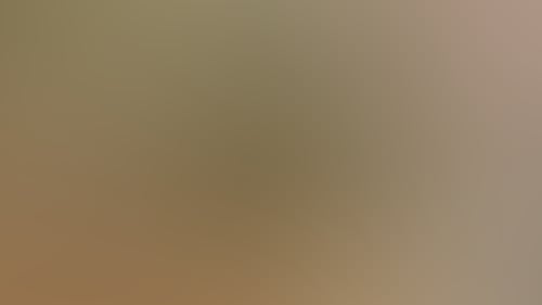 E11A2B9D6Fcefbcb80Aec81203Ca8418