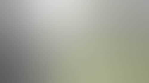 E9B3D6E0E273F06Ea54523652739Fcc6