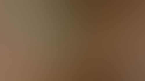 84328Ece4B78Ce99137094D0E52Ba295